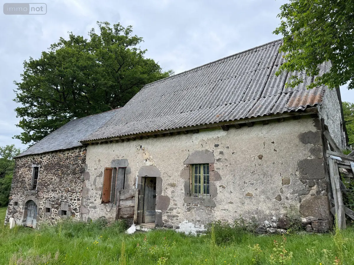 Maison a vendre Méallet 15200 Cantal 15 100 m2 53000 euros 15060/1202 001