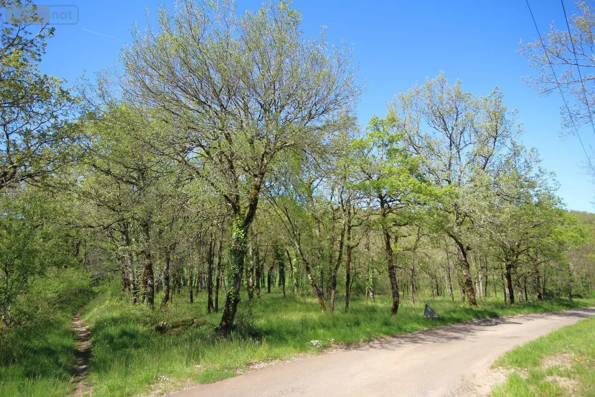 Terrains de loisirs bois etangs a vendre Monteils 12200 Aveyron 12 13000 euros 3192 001