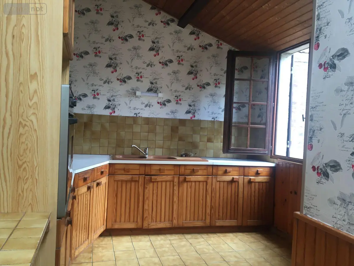 Immeuble de rapport a vendre Saint-Julien-du-Sault 89330 Yonne 89 100 m2 3 pièces 157000 euros 2100013 001