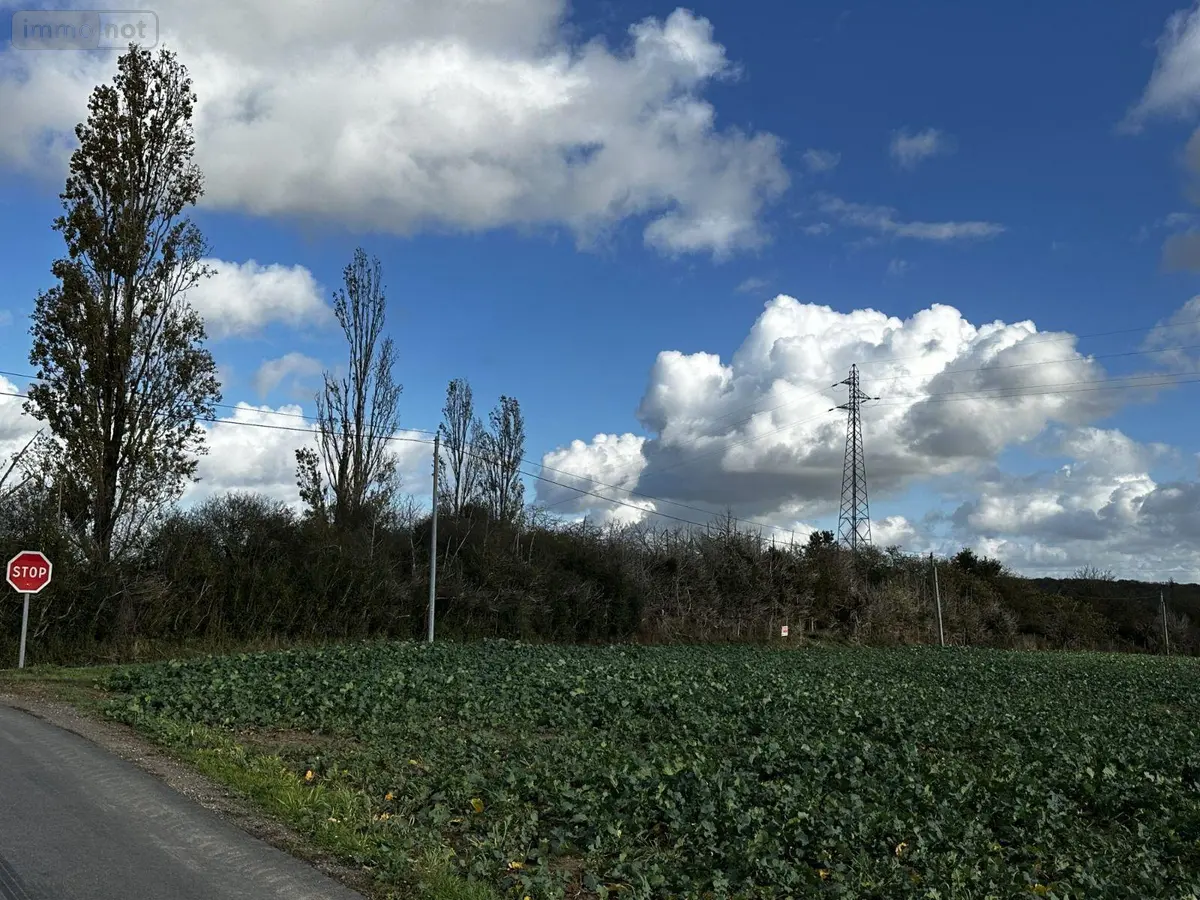 Terrains de loisirs bois etangs a vendre Courtenay 45320 Loiret 45 30000 euros TER 240001 001