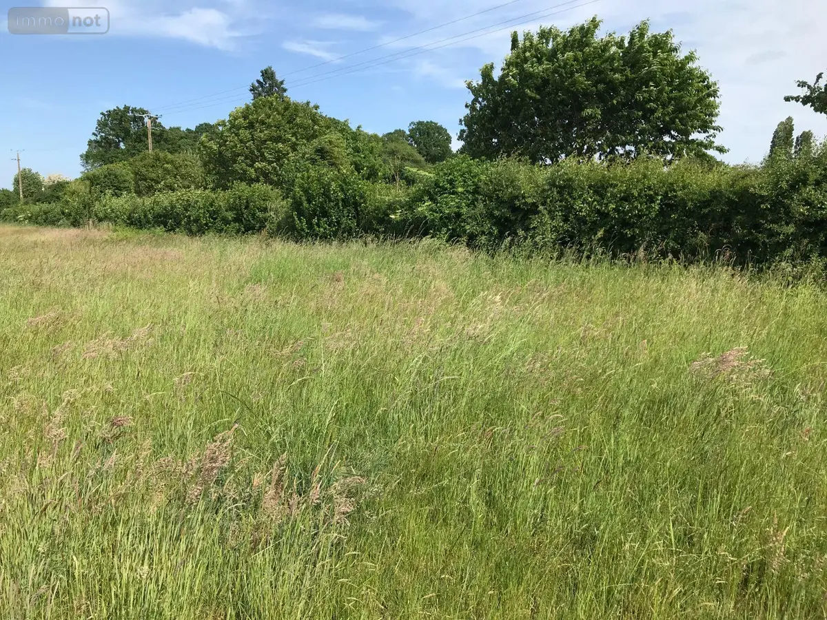 Terrain a batir a vendre Briosne-lès-Sables 72110 Sarthe 72 34866 euros 079/1968 001