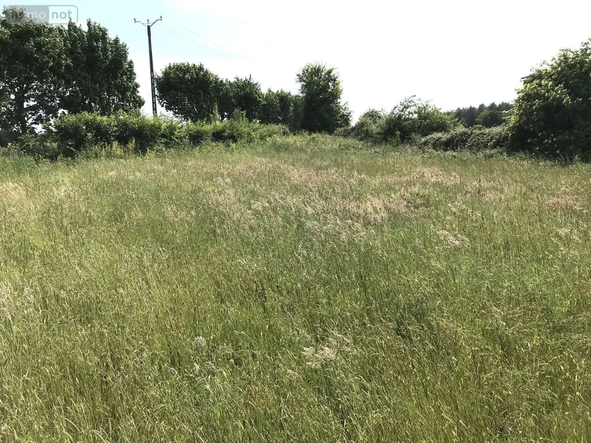 Terrain a batir a vendre Briosne-lès-Sables 72110 Sarthe 72 33339 euros 079/1971 001