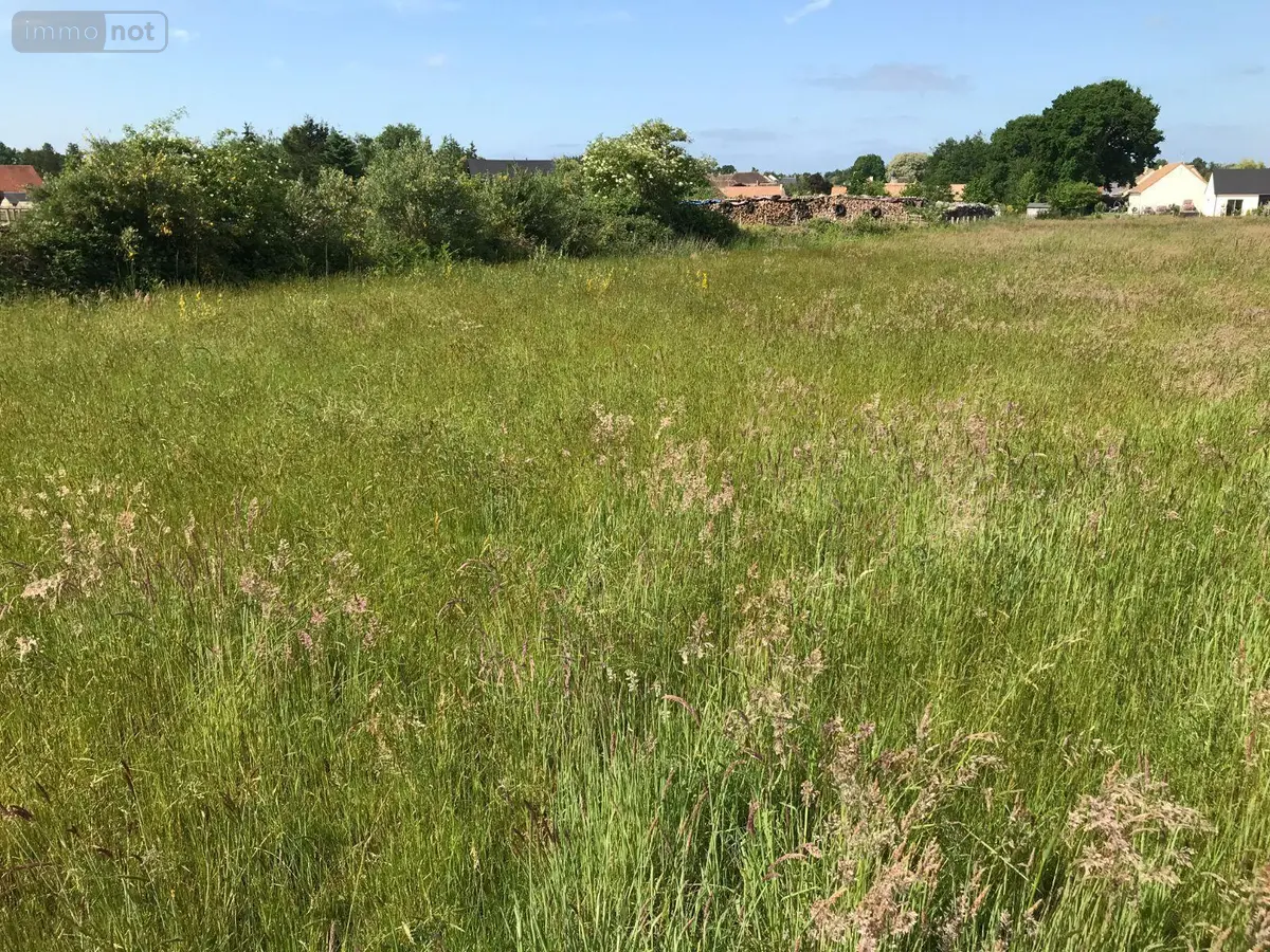 Terrain a batir a vendre Briosne-lès-Sables 72110 Sarthe 72 43200 euros 079/1972 001