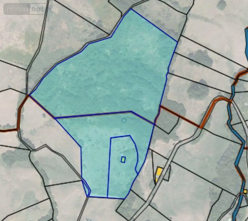 Terrains de loisirs bois etangs a vendre Condat 15190 Cantal 15 53000 euros FG/2351 001