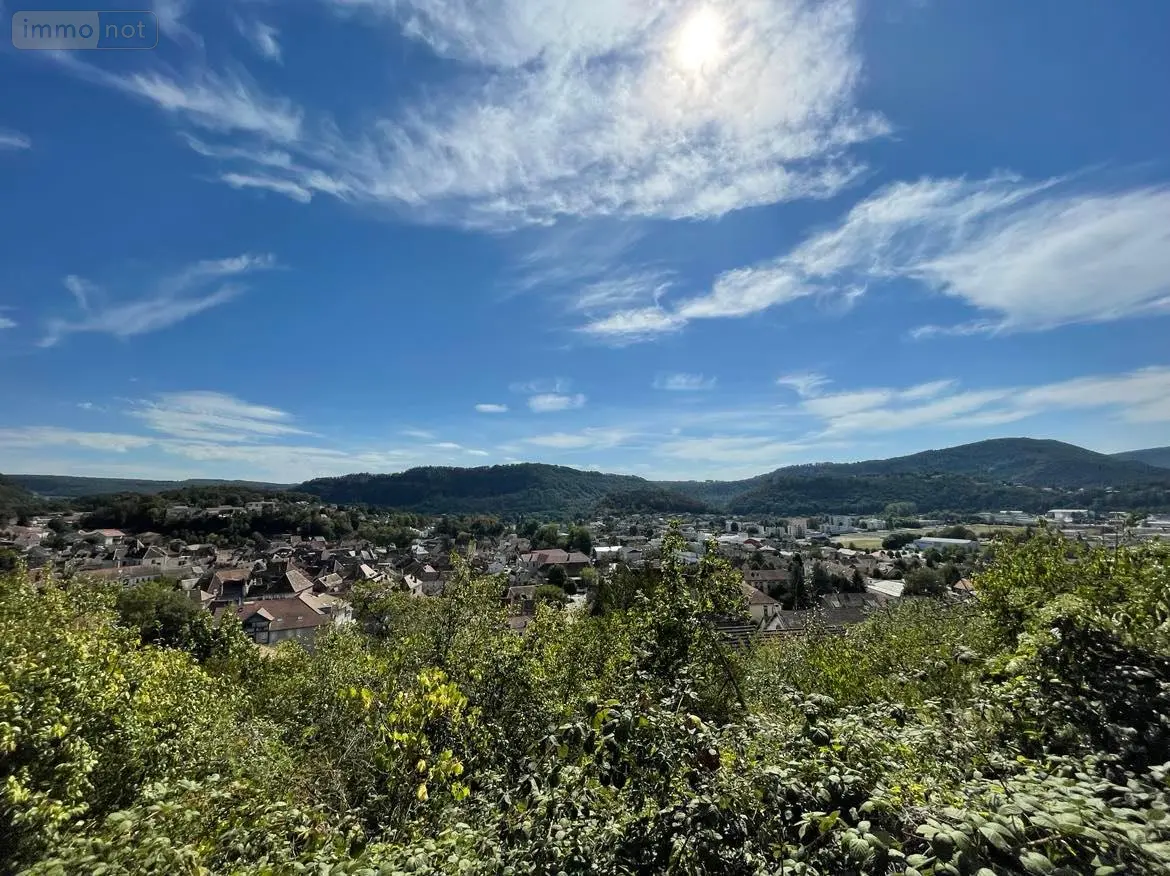 Terrain a batir a vendre Baume-les-Dames 25110 Doubs 25 1055 m2 50000 euros 25006-44-2025 001