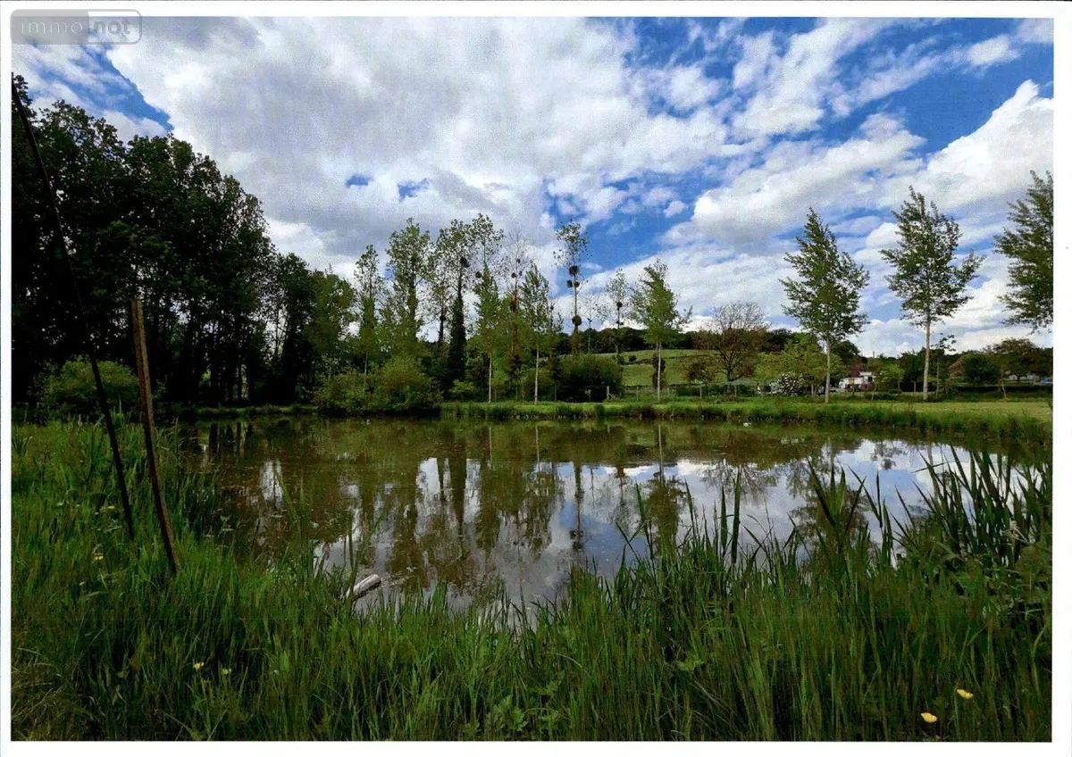 Terrains de loisirs bois etangs a vendre Raye-sur-Authie 62140 Pas-de-Calais 62 65000 euros 62140-850 001