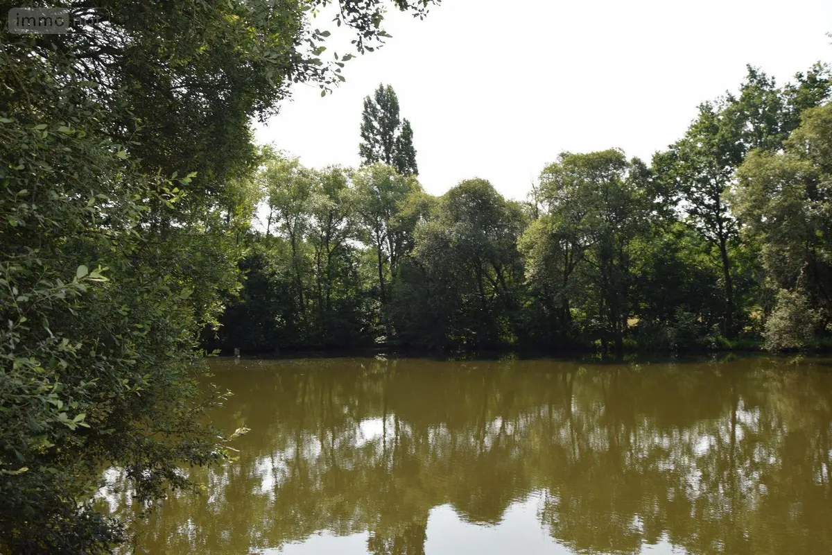 Terrains de loisirs bois etangs a vendre Martigné-sur-Mayenne 53470 Mayenne 53 15 m2 95000 euros 53075/FC119 001