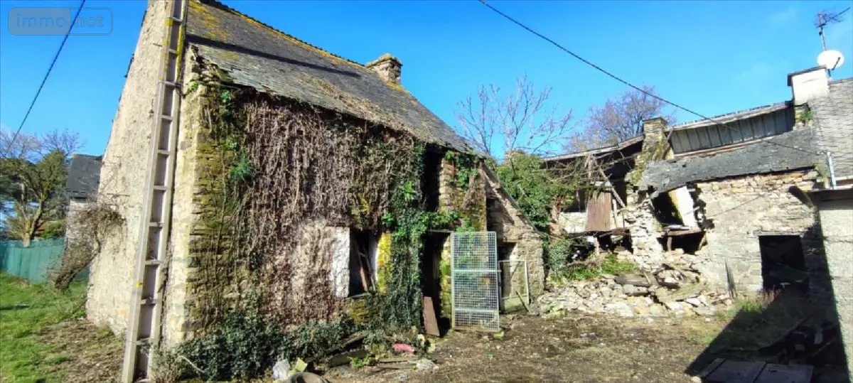 Maison a vendre Bains-sur-Oust 35600 Ille-et-Vilaine 35 50 m2 2 pièces 42400 euros 143/195M 001