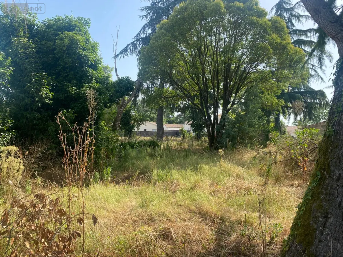 Terrain a batir a vendre Vayres 33870 Gironde 33 107500 euros 11633/463 001