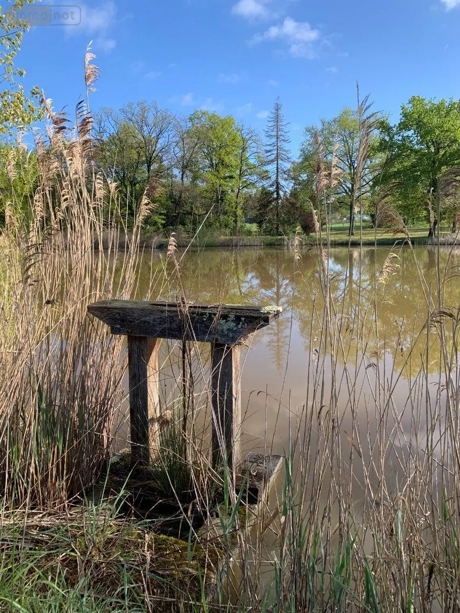 Terrains de loisirs bois etangs a vendre Mézières-en-Brenne 36290 Indre 36 27700 euros 1049343 001