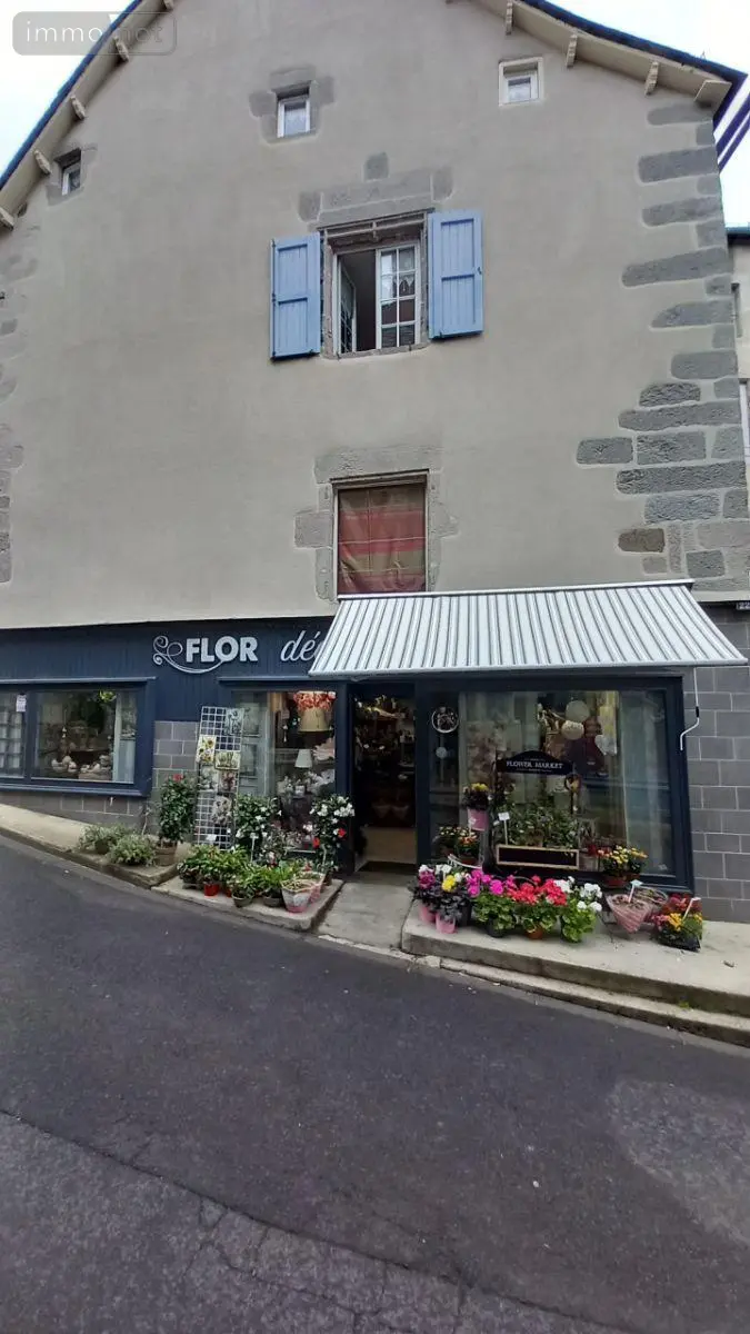 Immeuble de rapport a vendre Murat 15300 Cantal 15 71 m2 209300 euros FG/2378 001