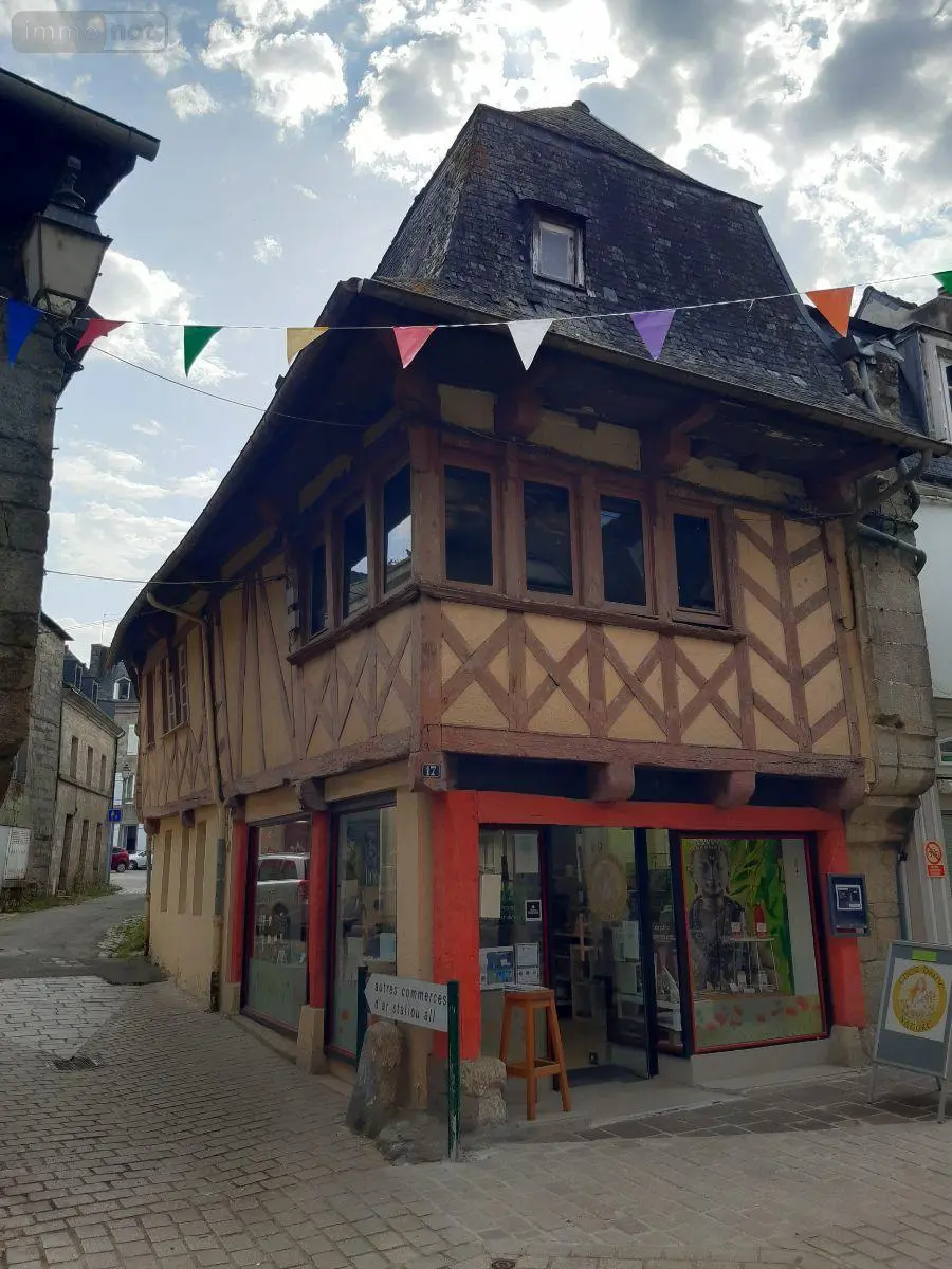 Immeuble de rapport a vendre Pontivy 56300 Morbihan 56 205 m2 3 pièces 157000 euros 063-420 001