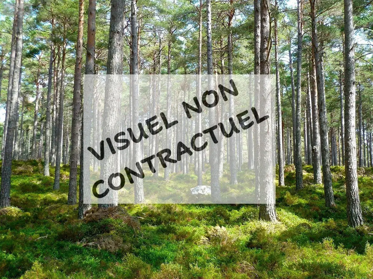 Terrains de loisirs bois etangs a vendre Villiers-Saint-Orien 28800 Eure-et-Loir 28 7000 euros RC/901 001