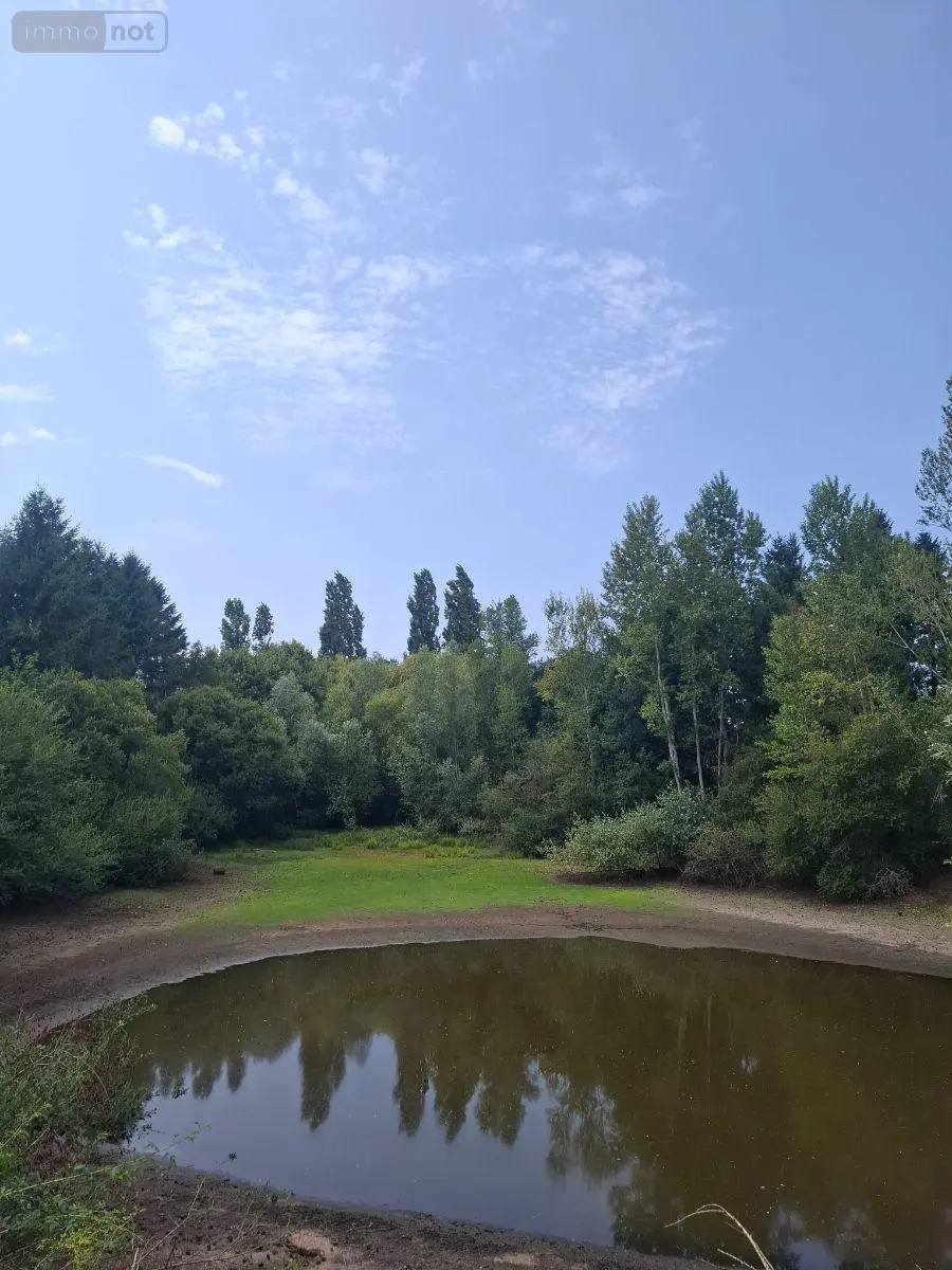 Terrains de loisirs bois etangs a vendre Malicorne 03600 Allier 03 19617 m2 45580 euros 18016/1981 001