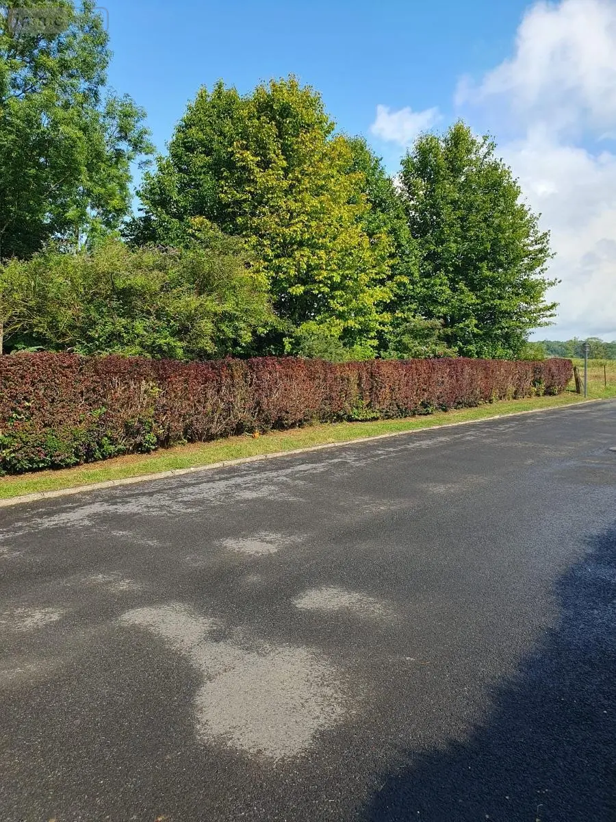 Terrain a batir a vendre Hannogne-Saint-Martin 08160 Ardennes 08 1829 m2 76000 euros 51083//960 001