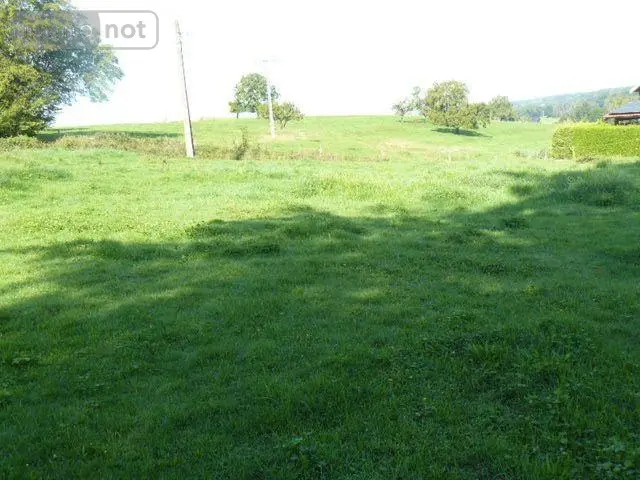 Terrain a batir a vendre Sainte-Barbe 88700 Vosges 88 2000 m2 40000 euros 2155 001
