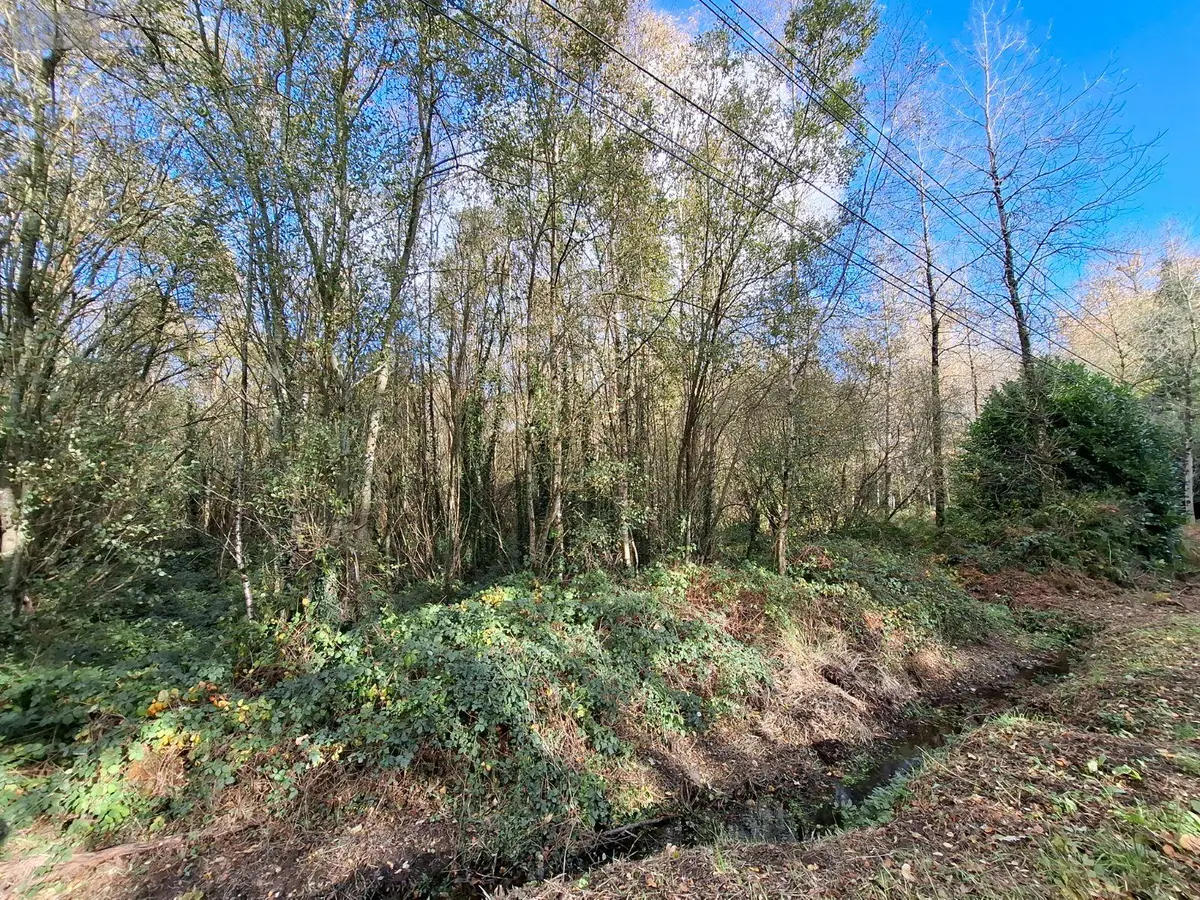 Terrains de loisirs bois etangs a vendre Saint-Nicolas-du-Pélem 22480 Côtes-d'Armor 22 5500 euros 22075-TB01639 001