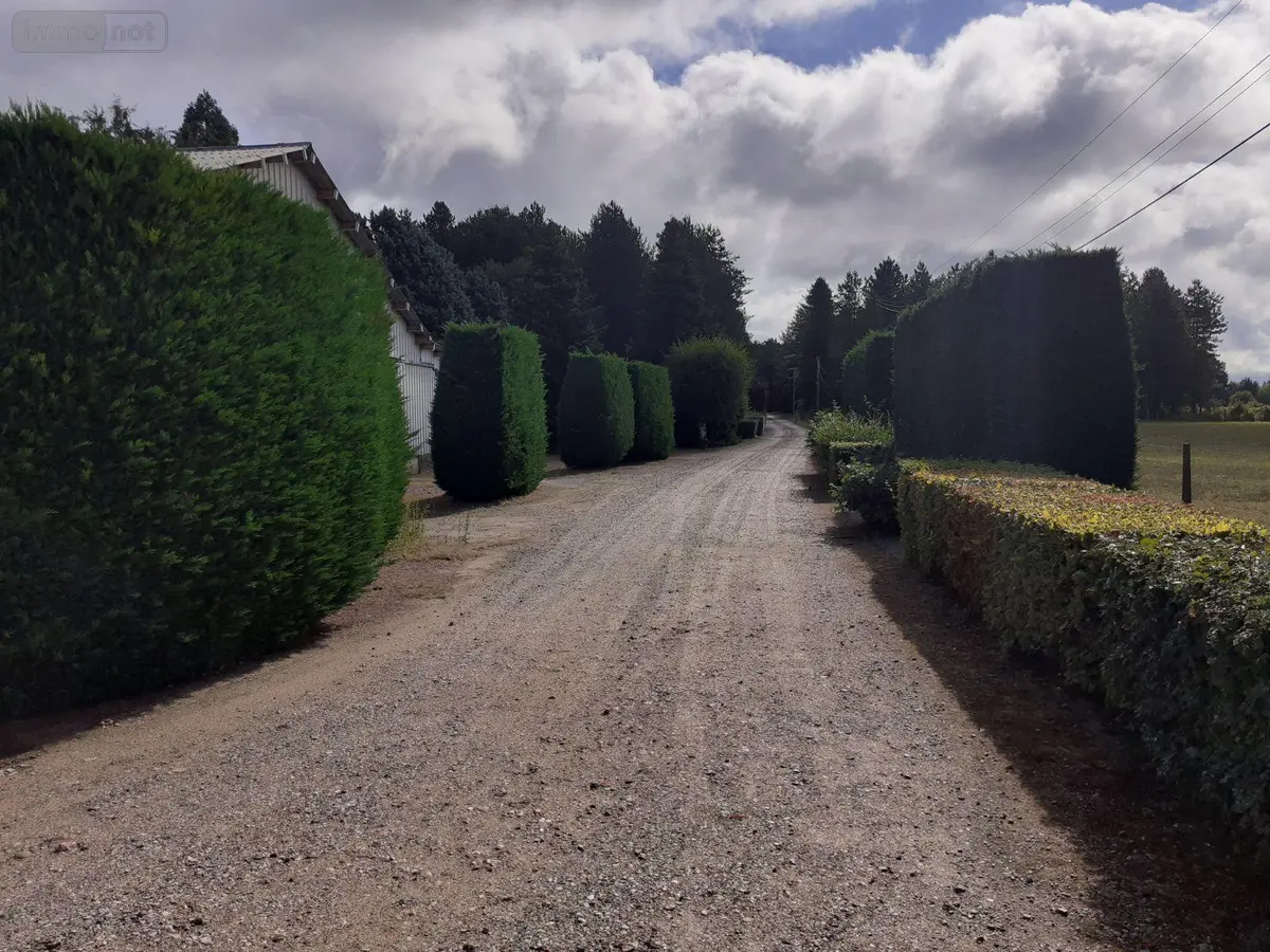 Propriete a vendre Saint-Ouen-en-Belin 72220 Sarthe 72 366 m2 574000 euros 024/348 001