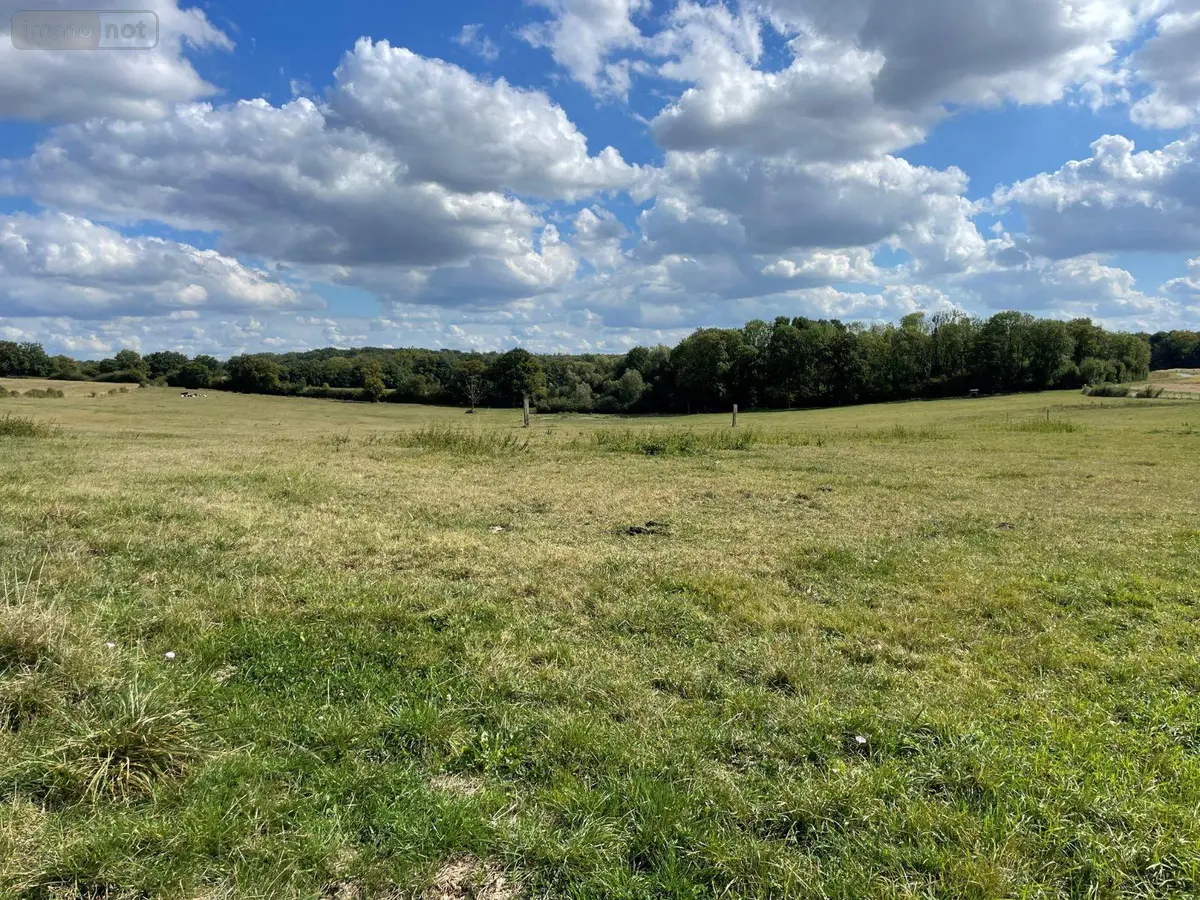 Terrain a batir a vendre Saulces-Monclin 08270 Ardennes 08 969 m2 32500 euros 08018-TEBA-2194 001
