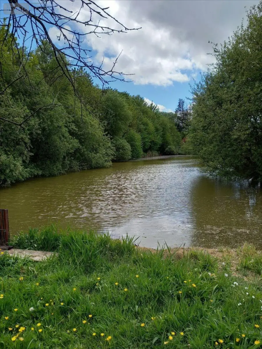 Terrains de loisirs bois etangs a vendre La Pellerine 53220 Mayenne 53 25000 euros 53077-1080800 001