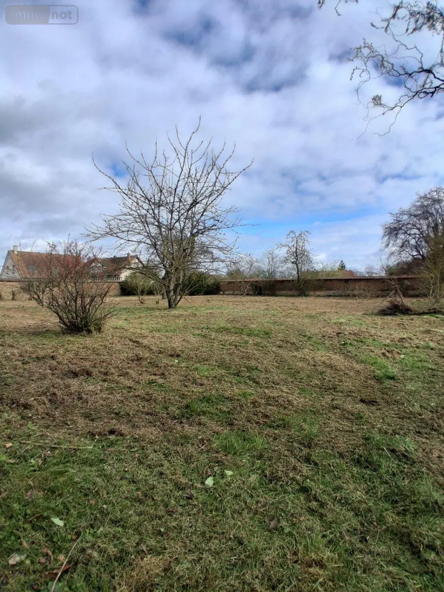Terrain a batir a vendre Corneuil 27240 Eure 27 46000 euros 11162/35 001