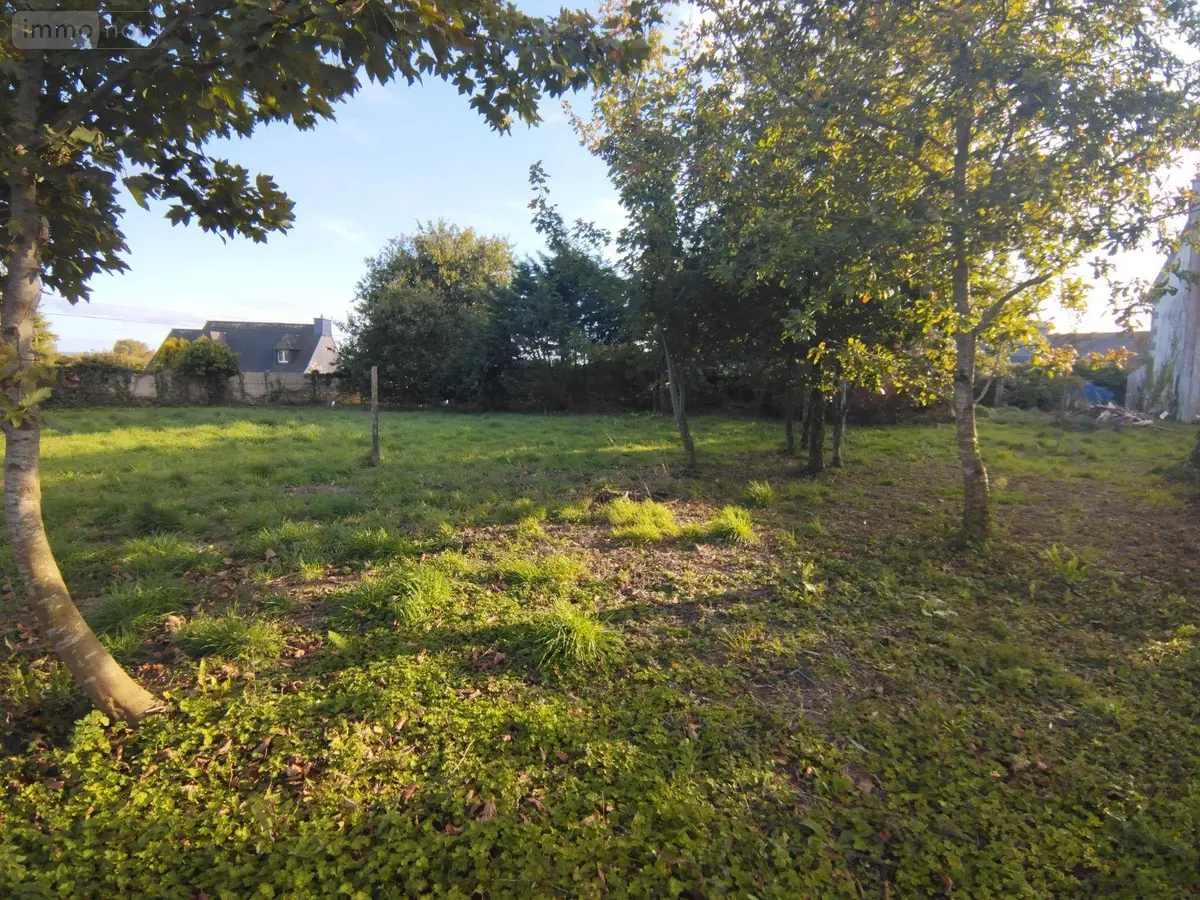 Terrain a batir a vendre Guimaëc 29620 Finistère 29 50000 euros MAGU 001