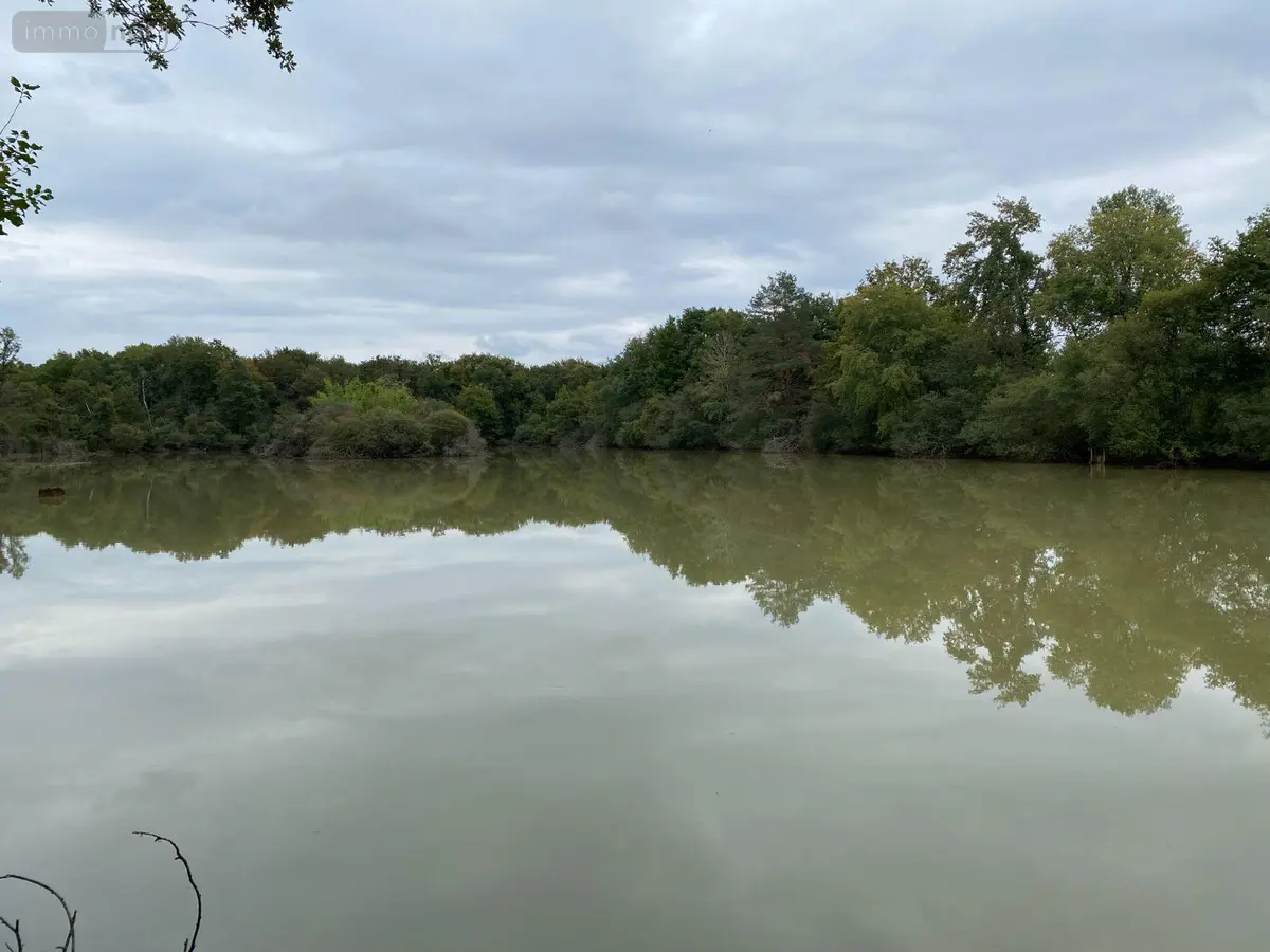 Terrains de loisirs bois etangs a vendre Mézières-en-Brenne 36290 Indre 36 86000 euros 1051479 001
