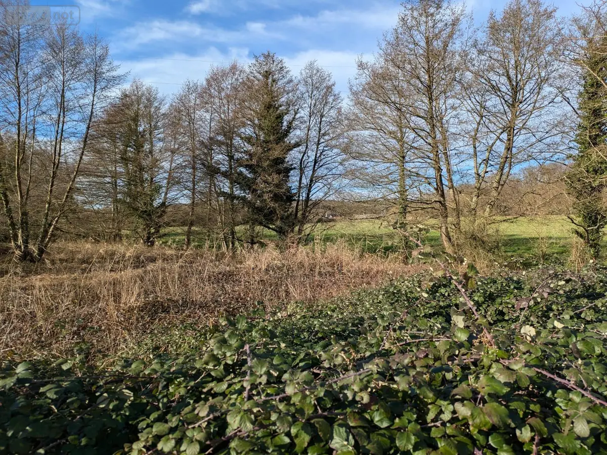 Terrains de loisirs bois etangs a vendre Changé 72560 Sarthe 72 41200 euros l800236570 001