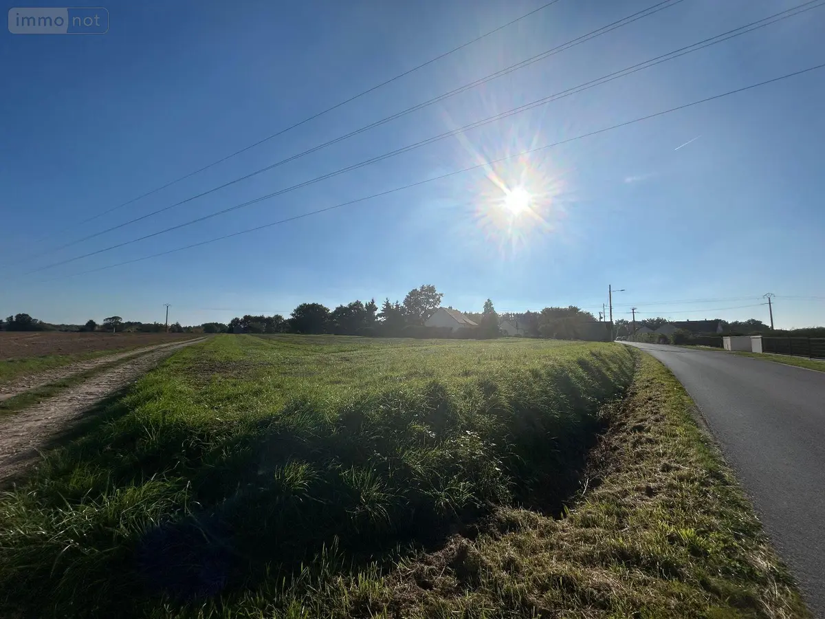 Terrain a batir a vendre Le Magny 36400 Indre 36 3000 m2 38000 euros 2459 001