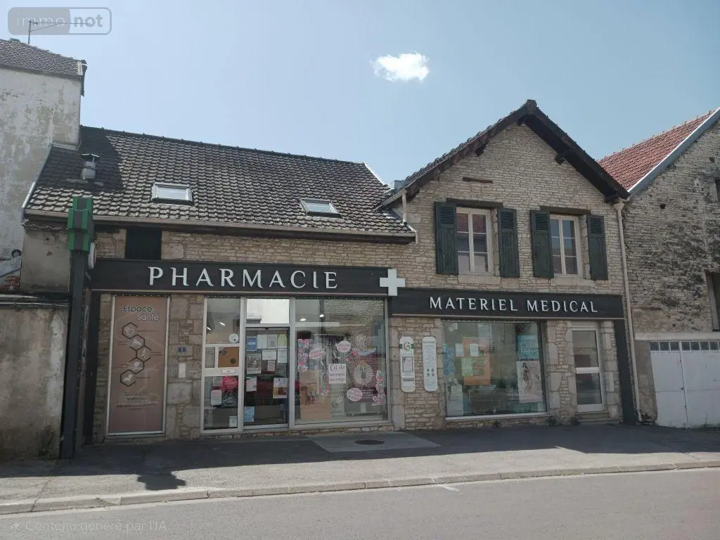 Fonds et murs commerciaux a vendre Mussy-sur-Seine 10250 Aube 10 119 m2 90000 euros 10063/1260 001
