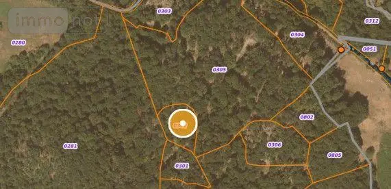 Terrains de loisirs bois etangs a vendre Saint-Amandin 15190 Cantal 15 40000 euros FG/2433 001