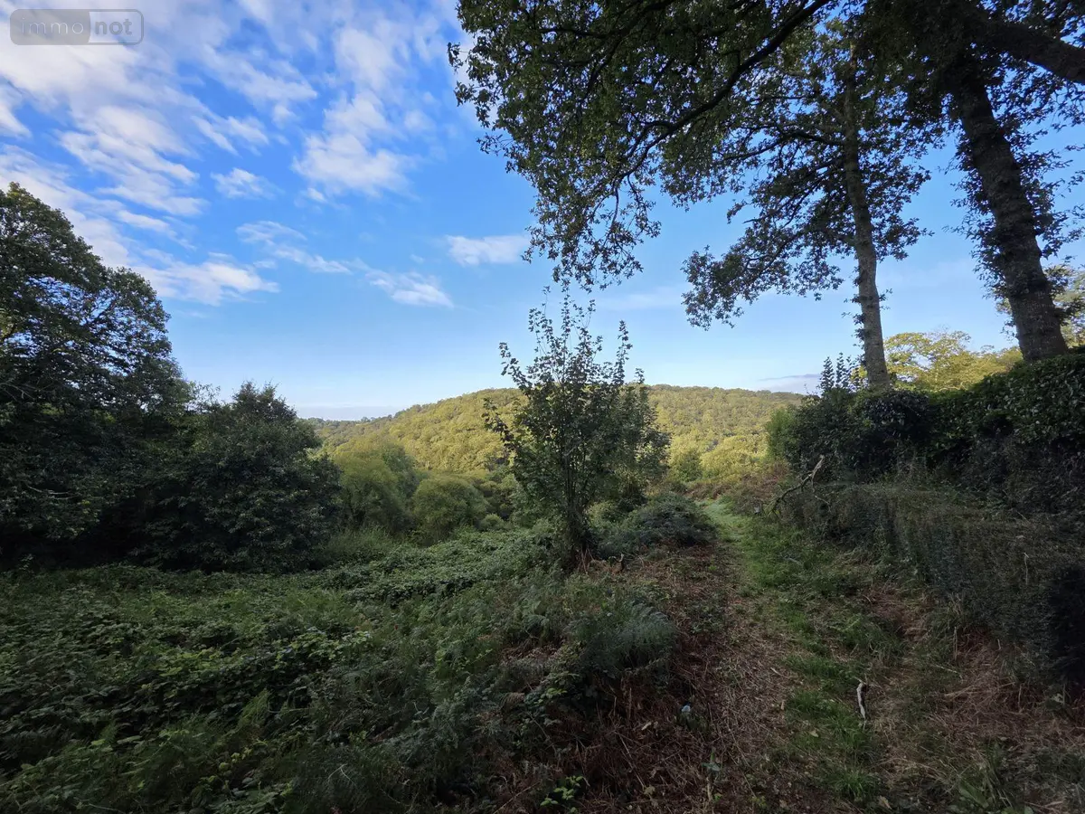 Terrains de loisirs bois etangs a vendre Kernével 29140 Finistère 29 128000 euros 29143-53 001