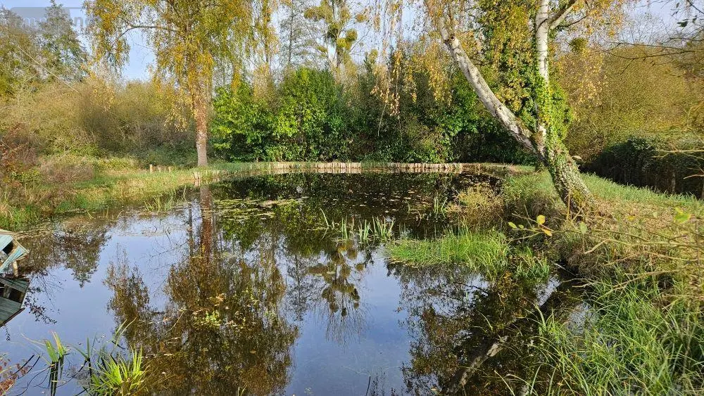 Terrains de loisirs bois etangs a vendre Requeil 72510 Sarthe 72 20000 euros HB-1791 001