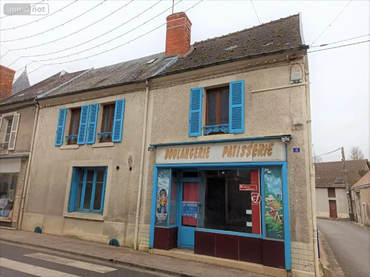 Maison a vendre Châteauneuf-sur-Cher 18190 Cher 18 160 m2 7 pièces 38960 euros 18034-336517 001