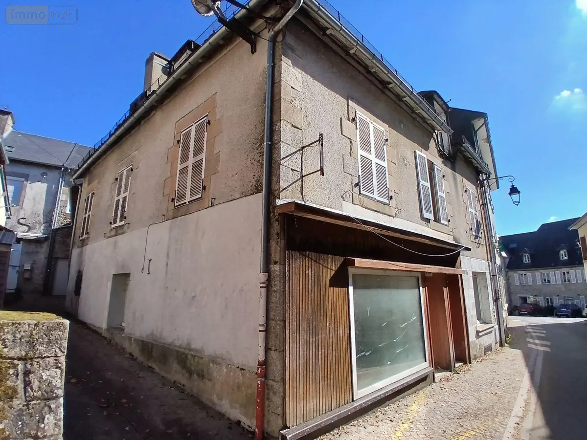 Immeuble de rapport a vendre Égletons 19300 Corrèze 19 200 m2 9 pièces 79500 euros 10803/120 001