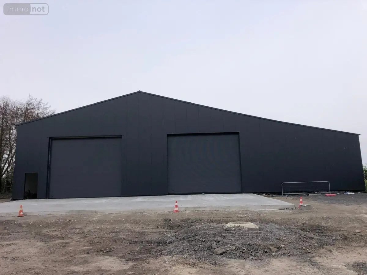 Location divers Merris 59270 Nord 59 1260 m2 4200 euros DLOC627 001