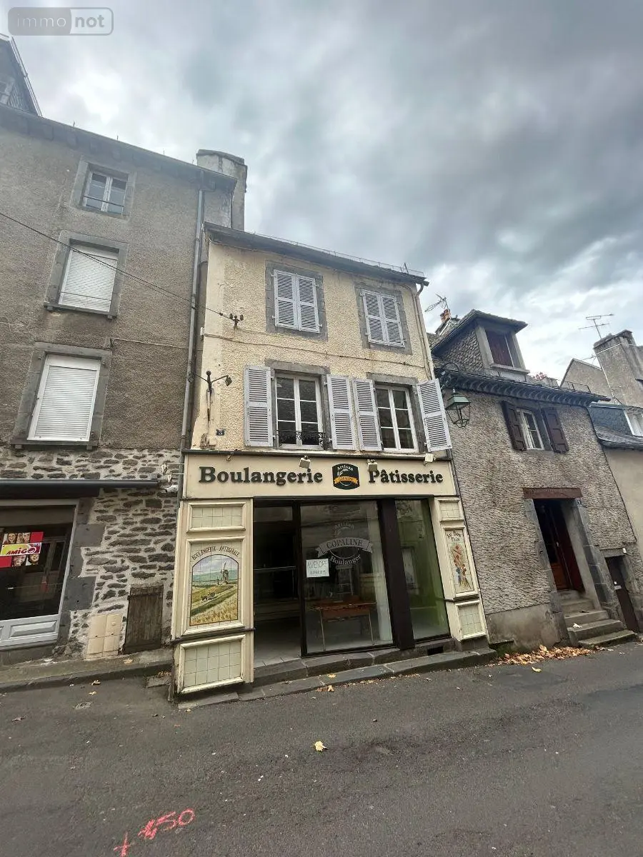 Immeuble de rapport a vendre Mauriac 15200 Cantal 15 150 m2 84800 euros 15060/1231 001