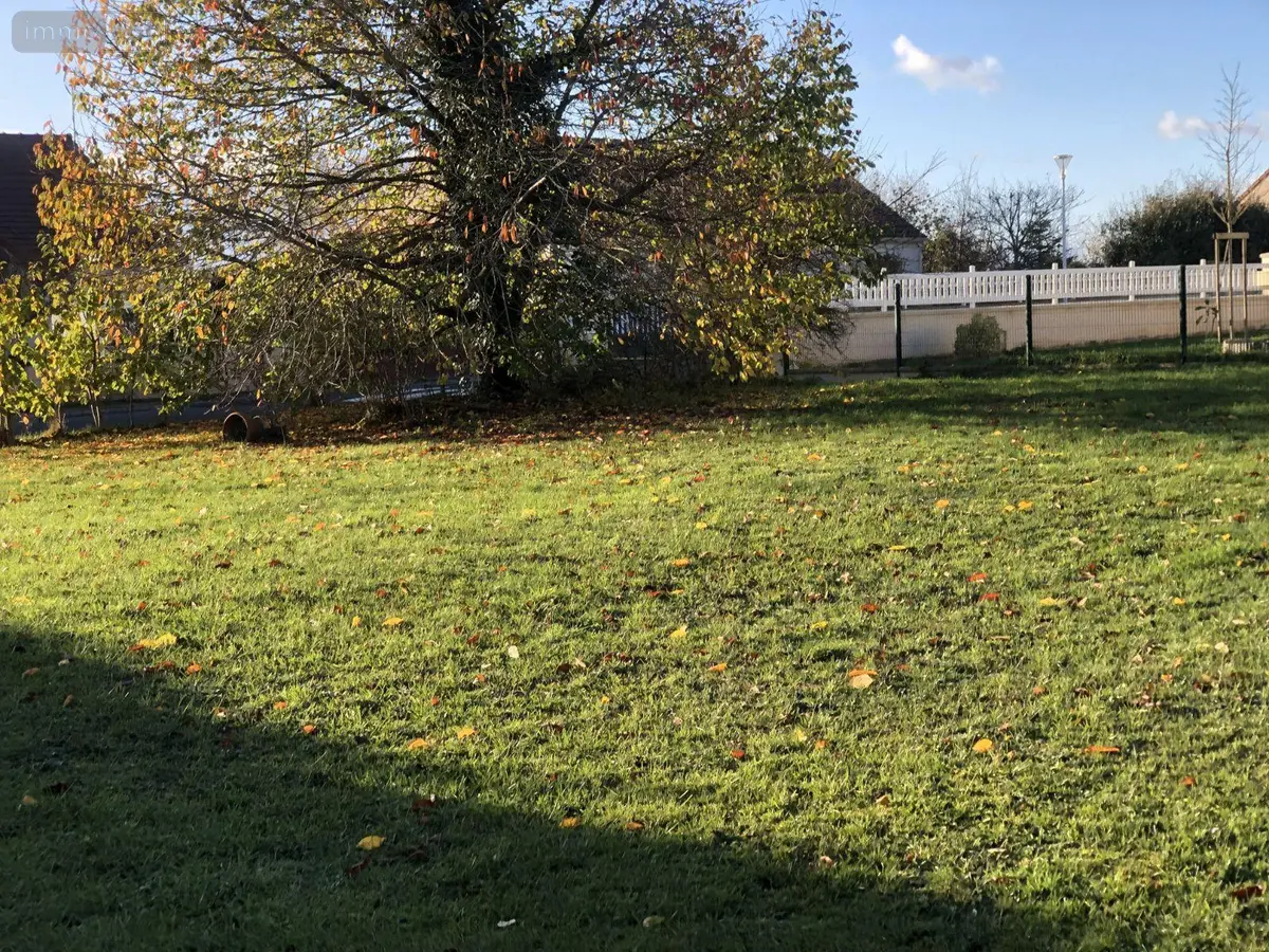 Terrain a batir a vendre Ségry 36100 Indre 36 43000 euros 11813/1490 001
