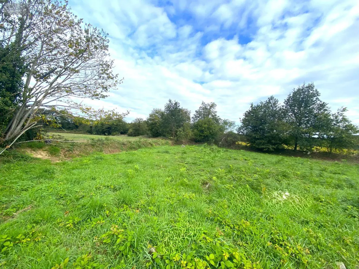 Terrain a batir a vendre Maxent 35380 Ille-et-Vilaine 35 570 m2 56000 euros JS/456 001