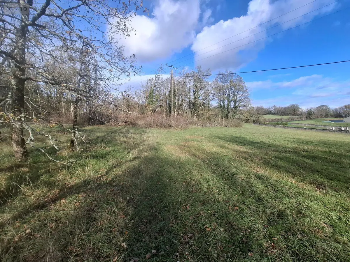 Terrain a batir a vendre Nadaillac 24590 Dordogne 24 5740 m2 48500 euros 18113/152 001
