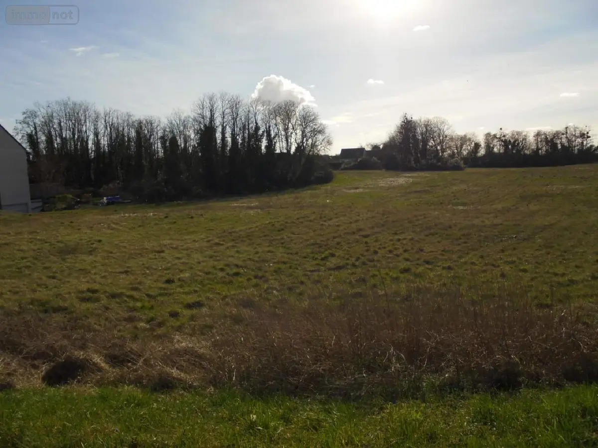 Terrain a batir a vendre Beaugency 45190 Loiret 45 764 m2 60700 euros 091/1433 001