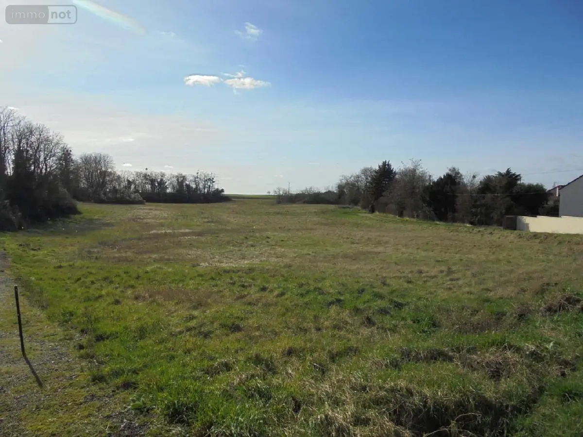 Terrain a batir a vendre Beaugency 45190 Loiret 45 788 m2 61800 euros 091/1431 001