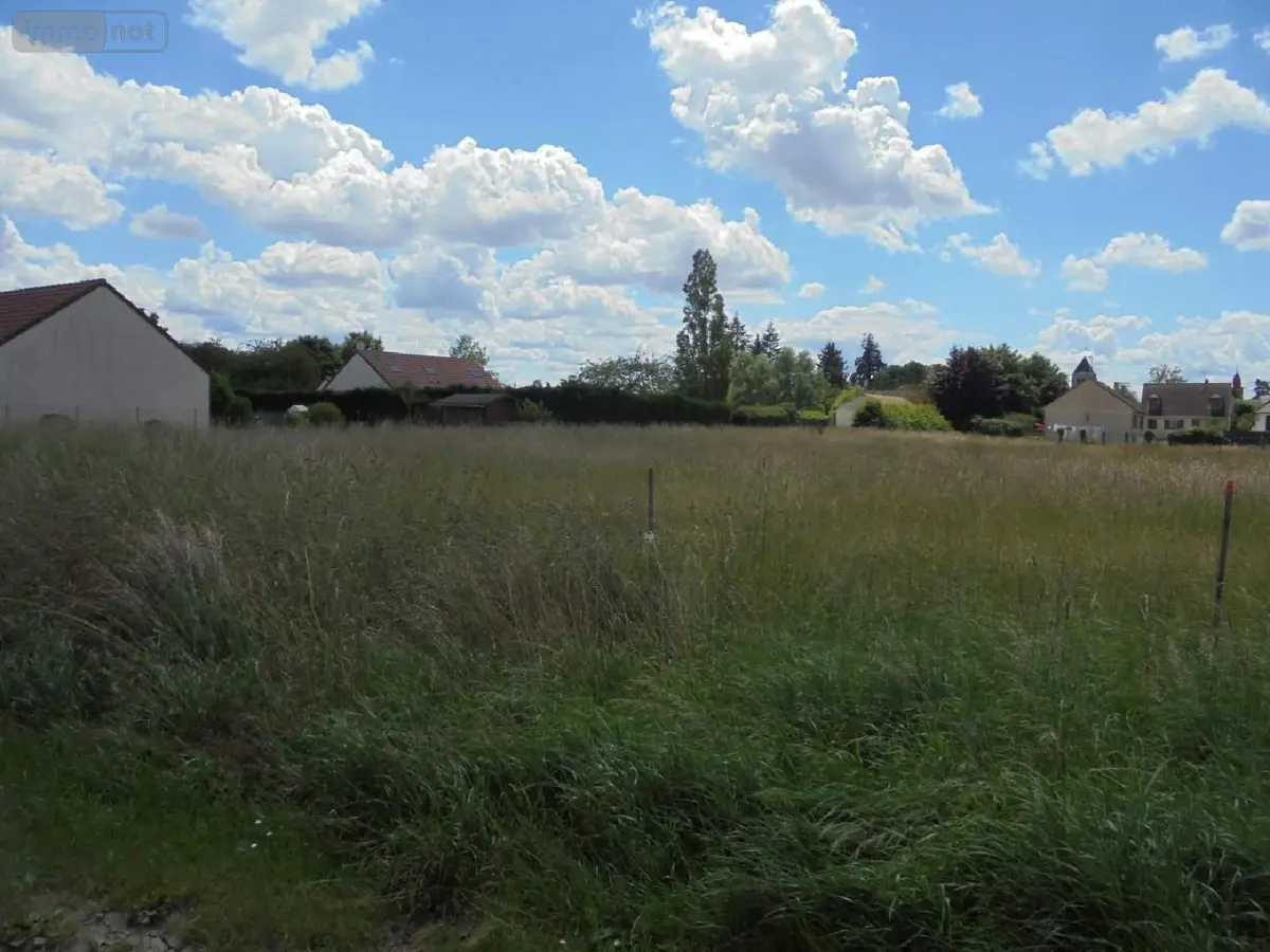 Terrain a batir a vendre Cravant 45190 Loiret 45 500 m2 43000 euros 091/1448 001