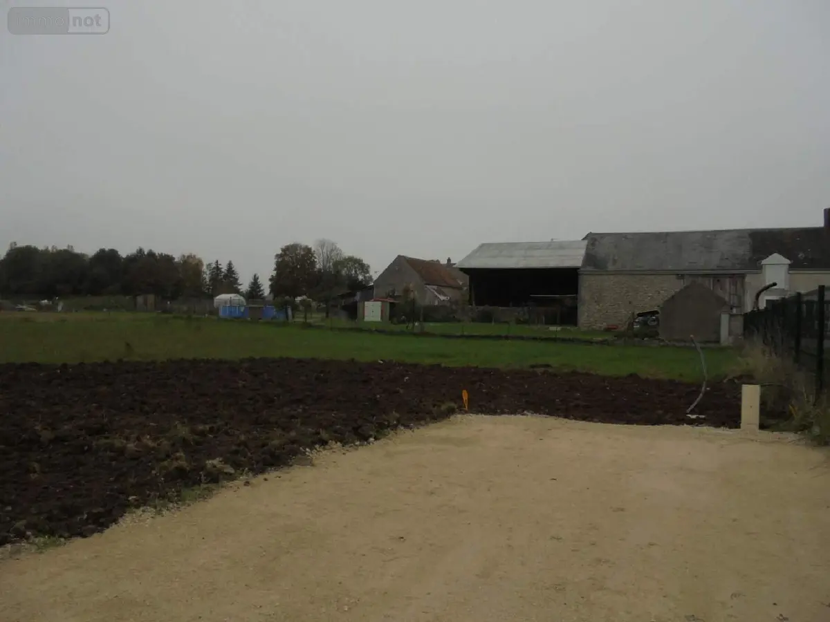 Terrain a batir a vendre Cravant 45190 Loiret 45 935 m2 49800 euros 091/1476 001