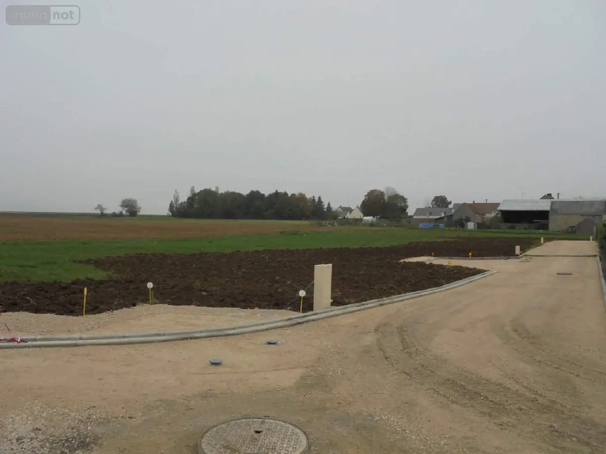 Terrain a batir a vendre Cravant 45190 Loiret 45 812 m2 49800 euros 091/1472 001