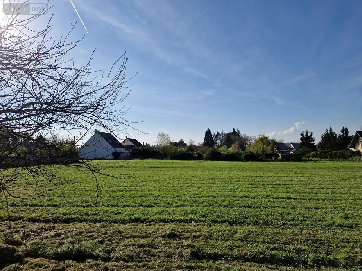 Terrain a batir a vendre Lailly-en-Val 45740 Loiret 45 801 m2 58200 euros 091/1475 001