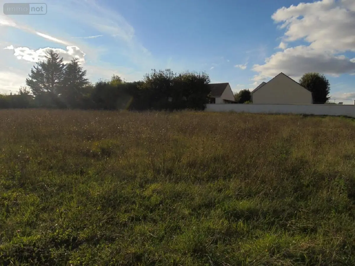 Terrain a batir a vendre Tavers 45190 Loiret 45 791 m2 63400 euros 091/1487 001