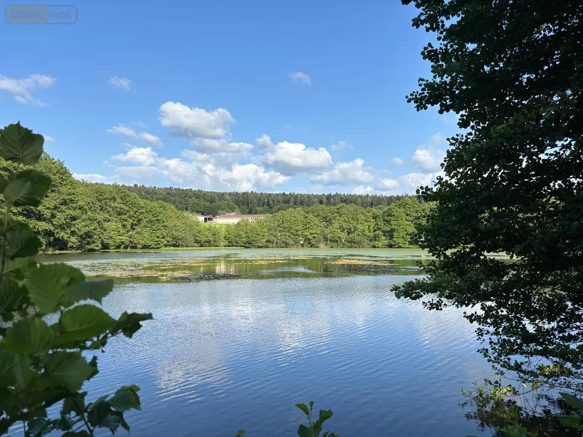Terrains de loisirs bois etangs a vendre Le Val-d'Ajol 88340 Vosges 88 126540 euros 14815/202500185 ter 001