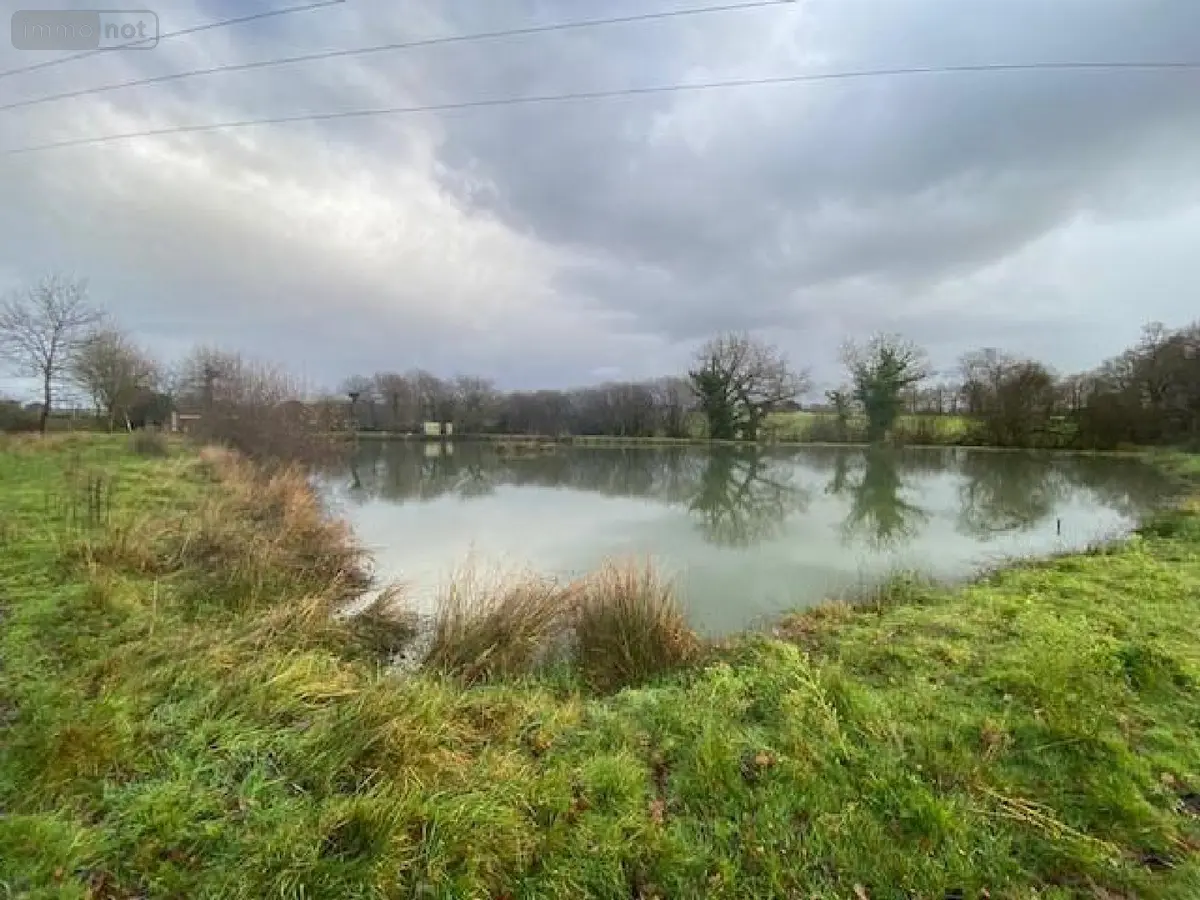 Terrains de loisirs bois etangs a vendre Tinténiac 35190 Ille-et-Vilaine 35 54000 euros 105/1895 001