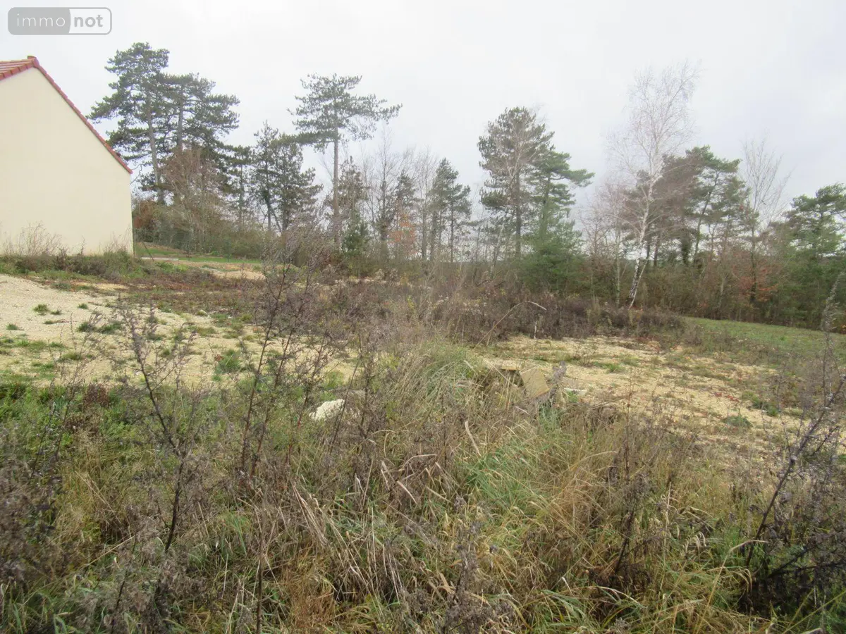 Terrain a batir a vendre Macey 10300 Aube 10 674 m2 53300 euros 10377/924 001